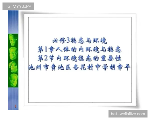 体育道德犯规判罚标准解析：裁判如何界定“非技术性犯规”？